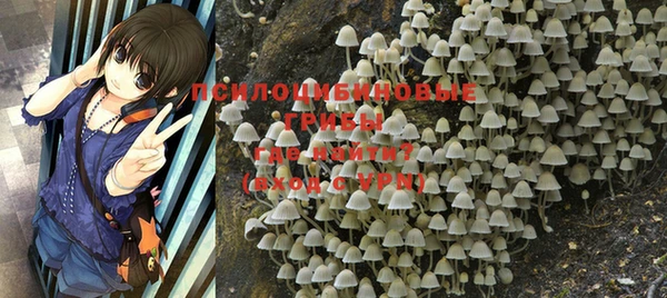 apvp Покров
