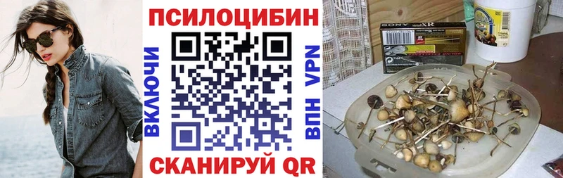 Галлюциногенные грибы Cubensis Бобров
